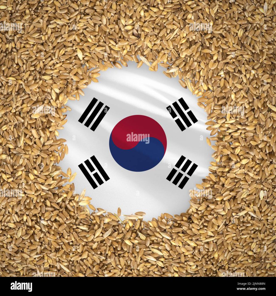 کره جنوبی ۶۰ هزار تن گندم خوراکی خریداری کرد