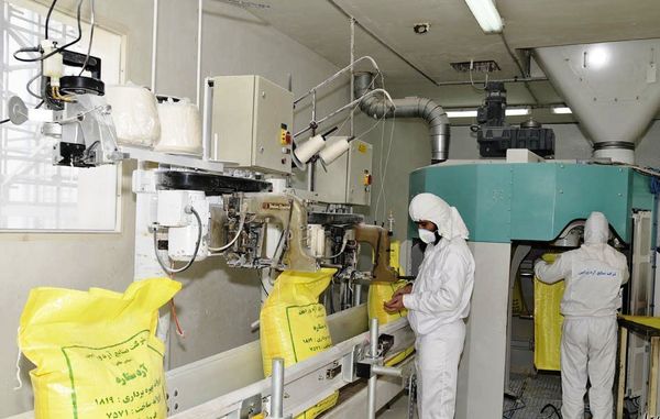 تنها راه نجات صنعت آرد، آزادسازی قیمت‌هاست