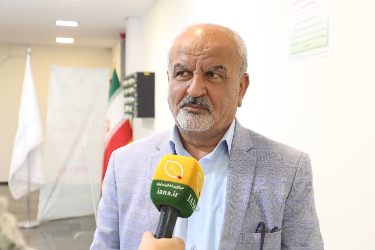صنعت ماکارونی آماده خروج از نظام یارانه‌ای است
