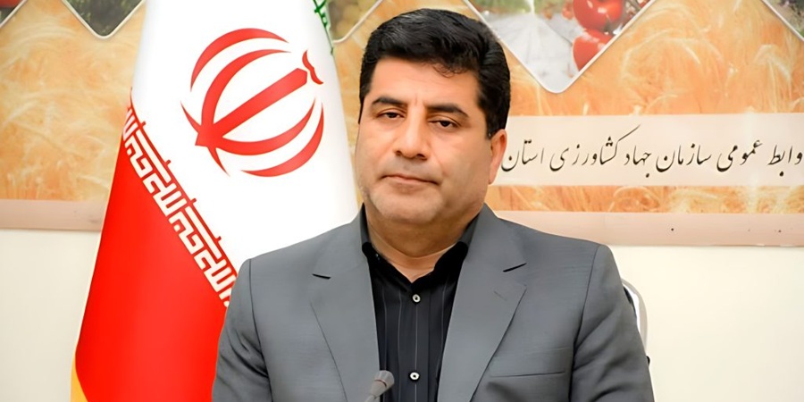 نیمی از واردات برنج محقق شد/ پرداخت طلب گندمکاران تا پایان مهر
