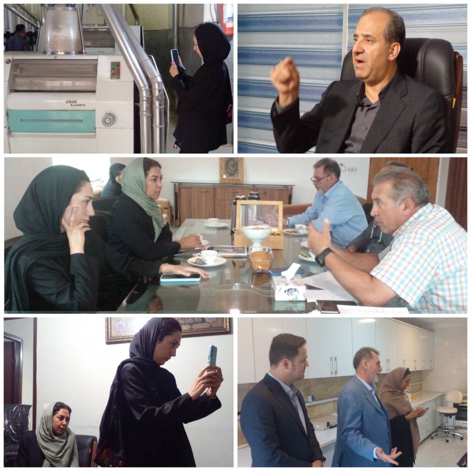 ظرفیت‌ها و دستاوردهای زنجیره گندم، آرد و نان مازندران زیر ذره‌بین غلات نیوز