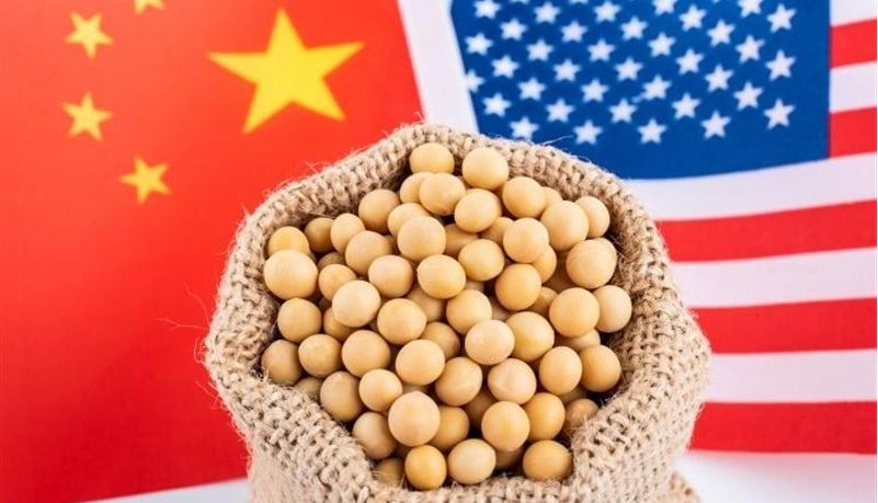  خریدی گران و سیاسی؛ چین ۱۴ کشتی سویای آمریکا را در اوج قیمت‌ها می‌خرد