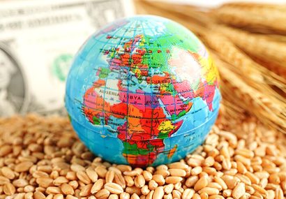 ذخایر مطلوب گندم و ذرت در کنار تنش های ژئوپلیتیکی دو روی سکه بازار جهانی غلات