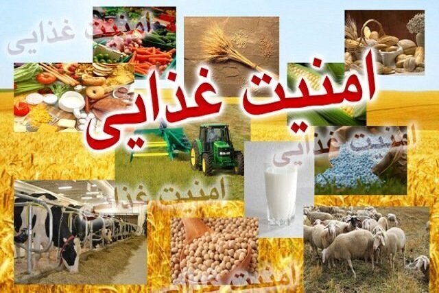 شرط خودکفایی محصولات اساسی و امنیت غذایی چیست؟