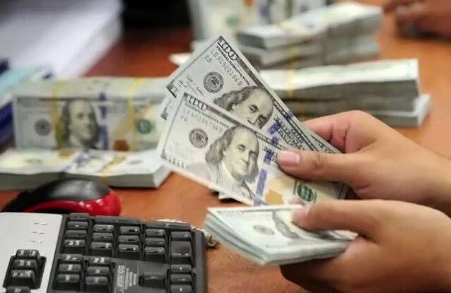 چراغ سبز وزارت جهاد کشاورزی به واردکنندگان؛ حذف سقف و سابقه و کاهش زمان تخصیص ارز