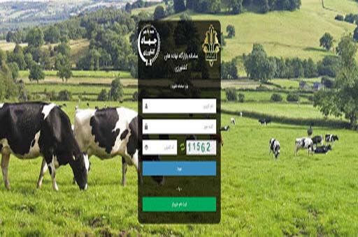 افزایش برخوردها با فساد در سامانه بازارگاه