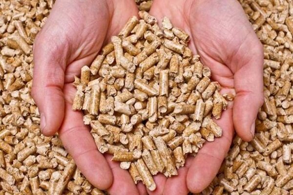 گرانی خوراک دام و سرازیر شدن آرد ونان یارانه ای در دامداری ها!