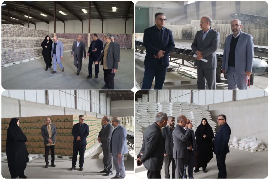 معاون استاندار سمنان از سیلو و انبارهای کالاهای اساسی استان بازدید کرد
