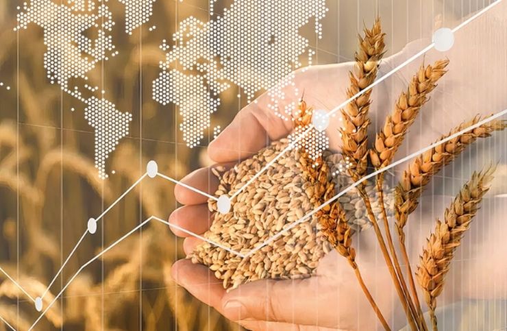 جنگ قدرت‌ها و تیغ بر گلوی غلات