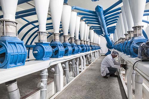 بی مهری مسئولین دولتی موجب بی انگیزگی آسیابانان شده است