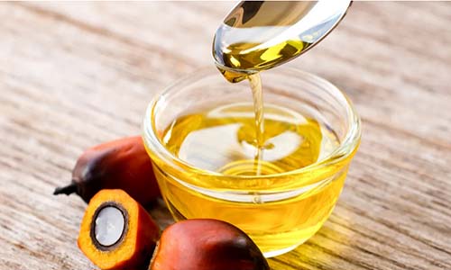 آخرین برآورد از قیمت روغن پالم در سال ۲۰۲۶