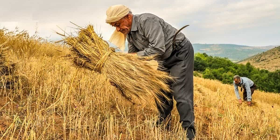 اعمال ۱۰ درصد تخفیف در حق بیمه سهم بیمه‌گذاران کشاورزی