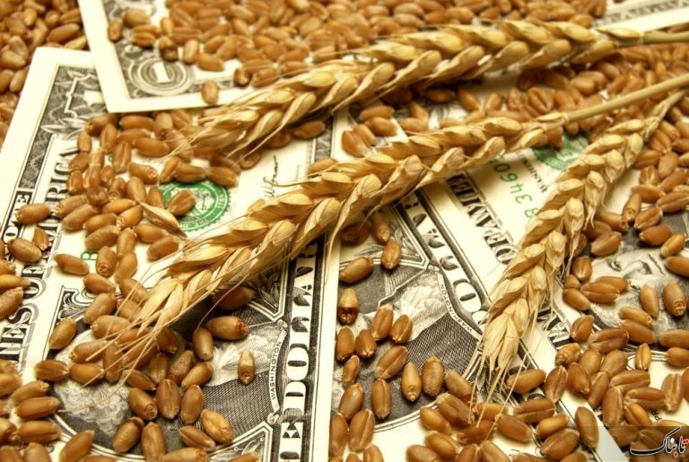 اصلاح ارز ترجیحی و افزایش هزینه‌ها از عوامل گرانی کالاهای اساسی است