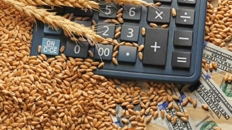 خرید گندم توسط دلالان تا 60هزار تومان در مناطق مرزی