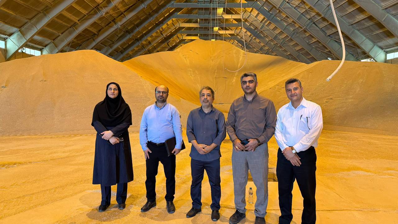 سیلوهای گندم و کارخانه‌های آرد دشتستان و دشتی زیر ذره‌بین نظارت دوره‌ای
