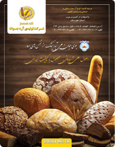 عنوان روزنامه دوم